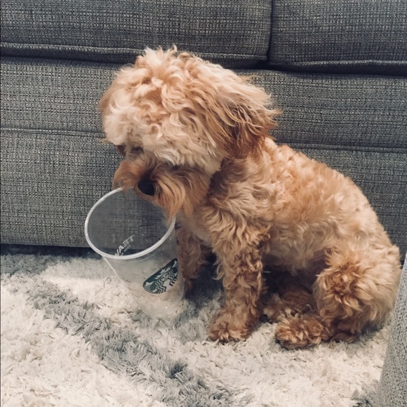 Meet your Posher, Erin - Picture 1 of 1